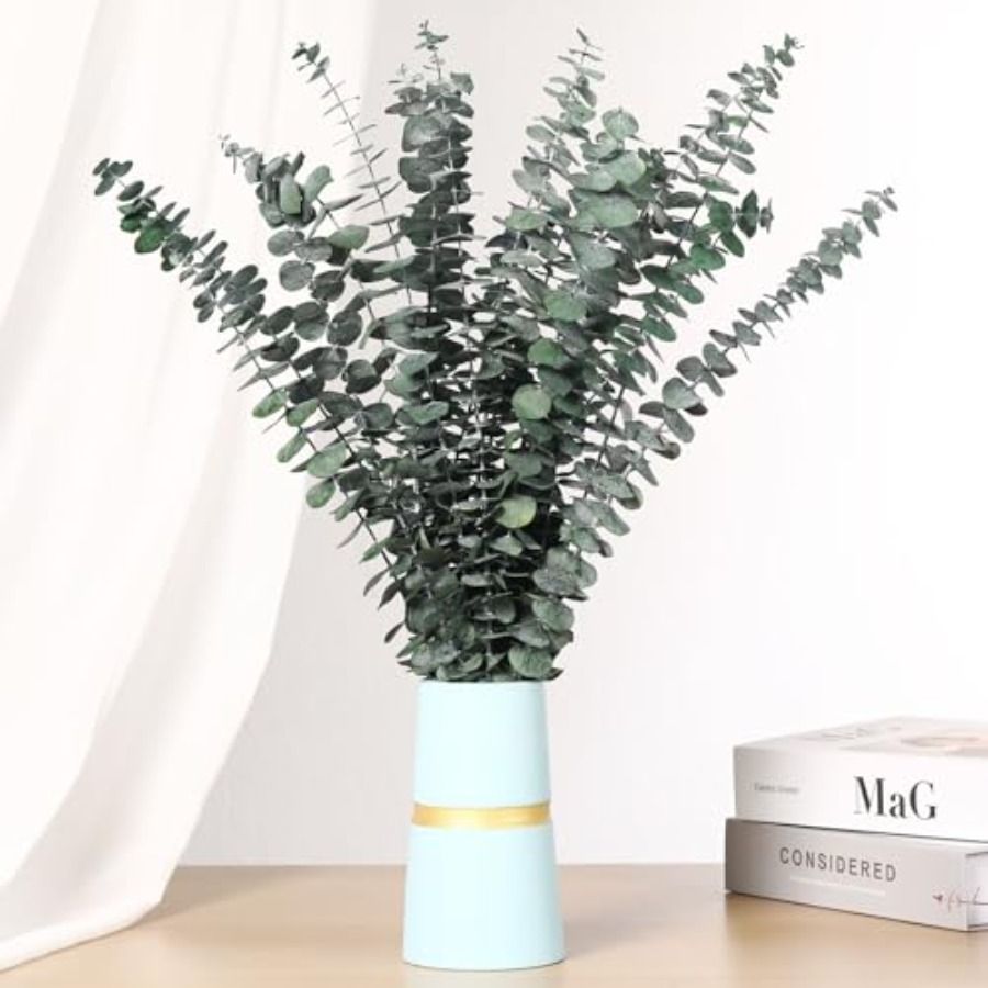 Dried Eucalyptus Stems for Sho - огляд і ціна Home Fragrance Eucalyptus