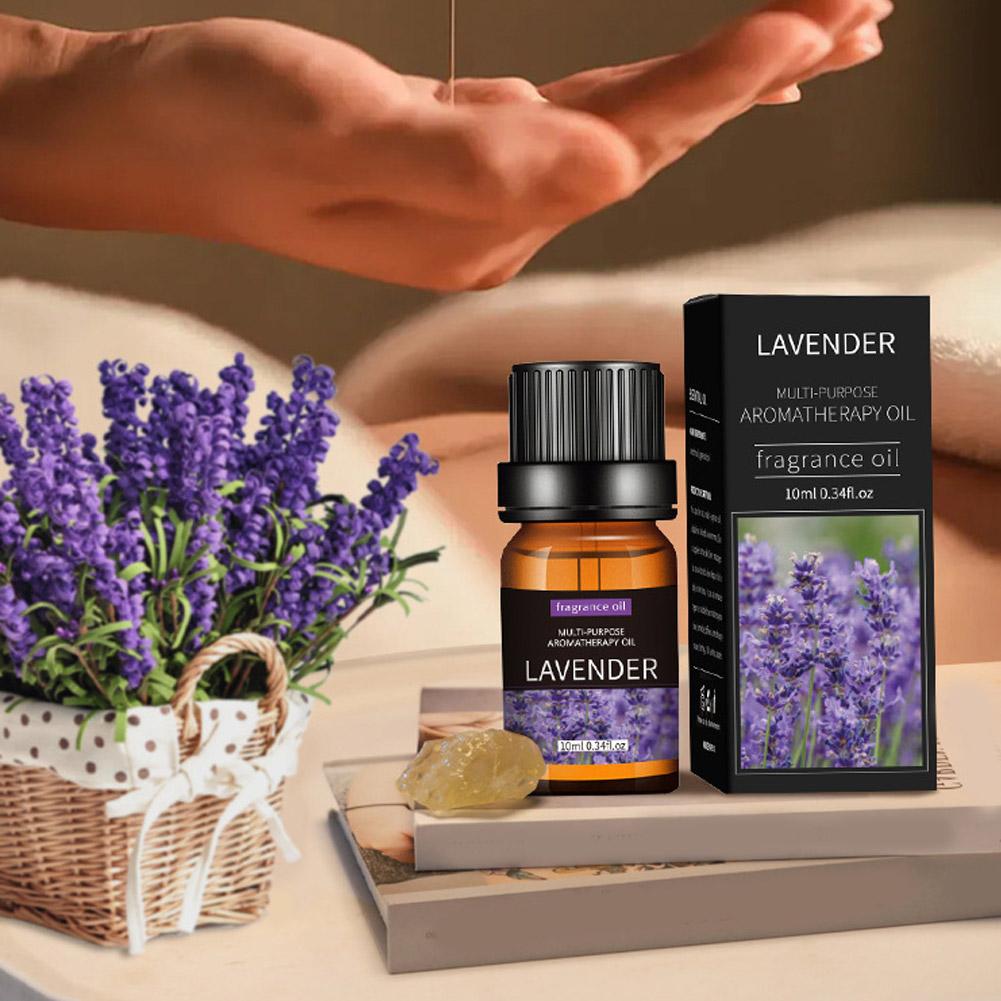 10mL Aromatherapy Essential Oi - огляд і ціна Home Fragrance Eucalyptus